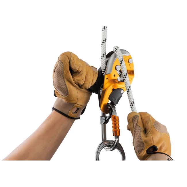 Black Descender F106286