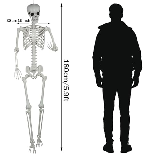 5.9ft Halloween Life Size Skeleton Plastic Human Bones with Movable Joints Q50339