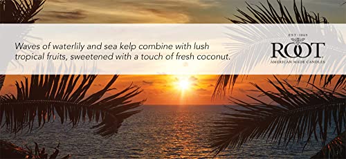 4-Ounce Beeswax Blend Candle Citron Bergamot H309936