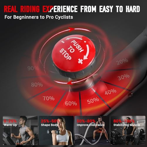 Indoor Cycling Bike with 330lbs Weight Capacity Y177