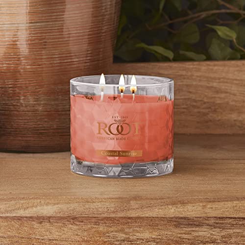 4-Ounce Beeswax Blend Candle Citron Bergamot H309936