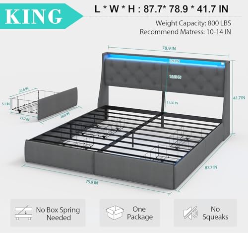 Gray Queen Upholstered Platform Bed Frame with 2 Storage Drawers and LED Light D12587