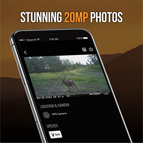 20MP Infrared Trail Camera with 90' Detection Range and 0.5S Trigger Speed Y48628
