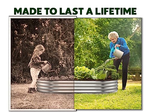 8×4×1 ft 2-Pack Galvanized Metal Raised Garden Bed P910
