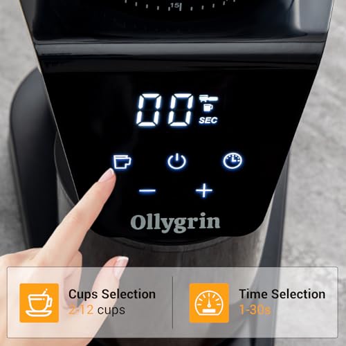 Electric Conical Burr Coffee Grinder Stainless Steel with Digital Timer Display Y49349