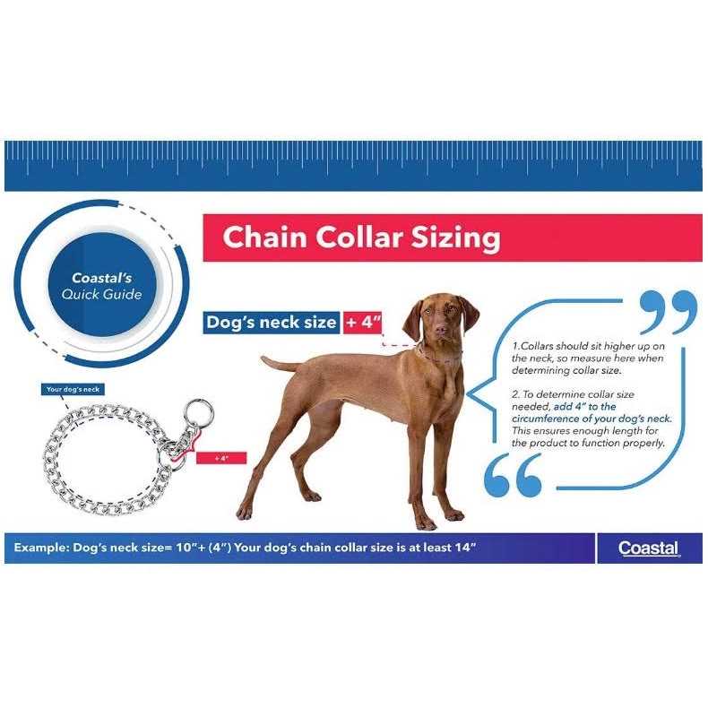 Steel Chain Choke Dog Collar T910401