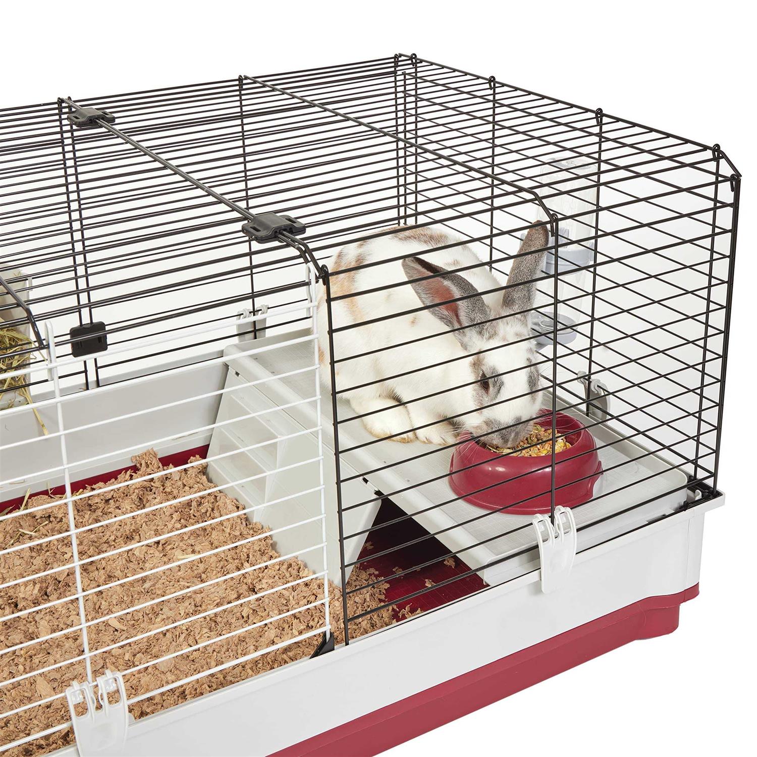 Rabbit Home F70304
