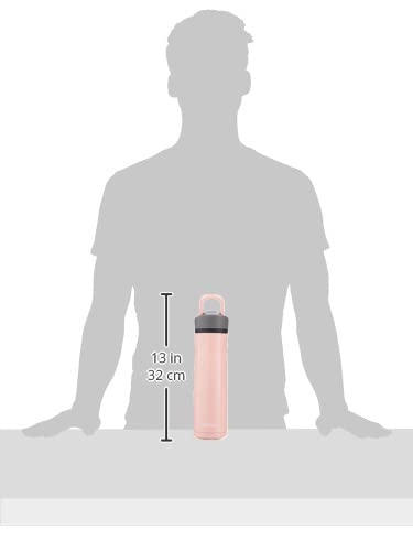 24oz Stainless Steel Water Bottle with Straw & Handle Dual Insulated (Pack of 2) Y310