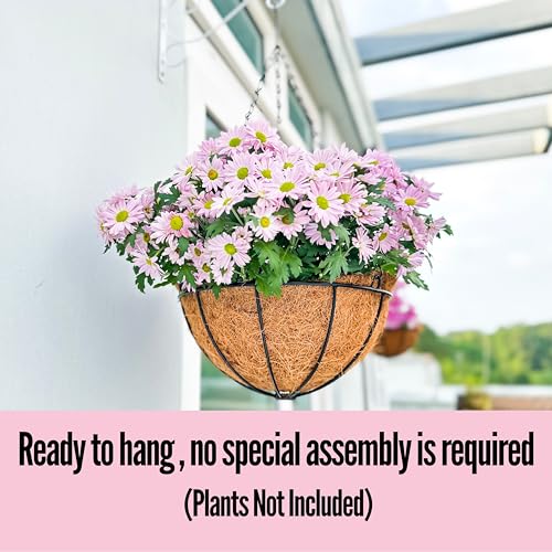 3 Pack 10 Inch Hanging Planter with Coco Liner Metal Wire Basket S510