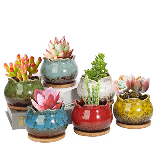 4 Inch Ceramic Plant Pots with Bamboo Tray, Pack of 6 S872