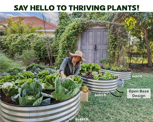8×4×1 ft 2-Pack Galvanized Metal Raised Garden Bed P910