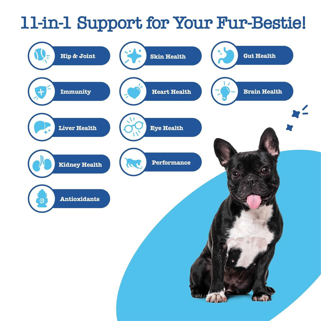 11-in-1 Multivitamin Bites for Dogs G500334