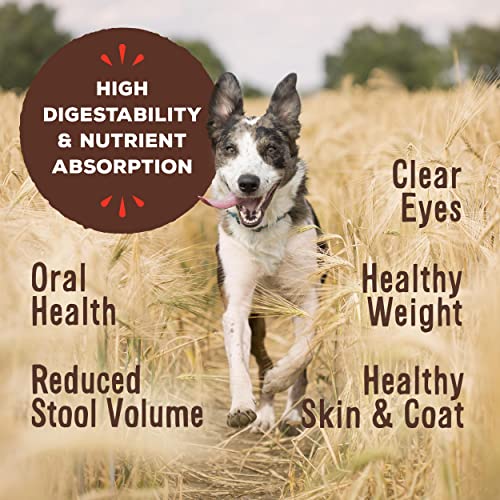 Freeze Dried Dog Food Nuggets, Pork, 14 oz X847