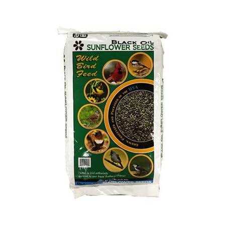20-Lb. Black Oil Sunflower Bird Seeds L845198