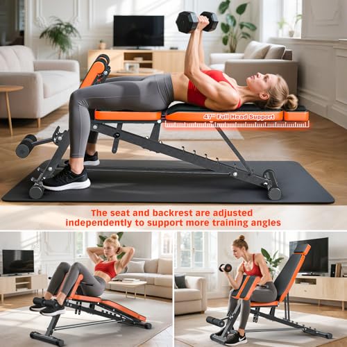 Adjustable Weight Bench with Dumbbell Rack J474577