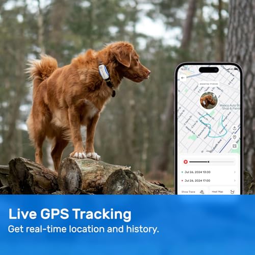 White Waterproof GPS Tracker for Dogs D2746