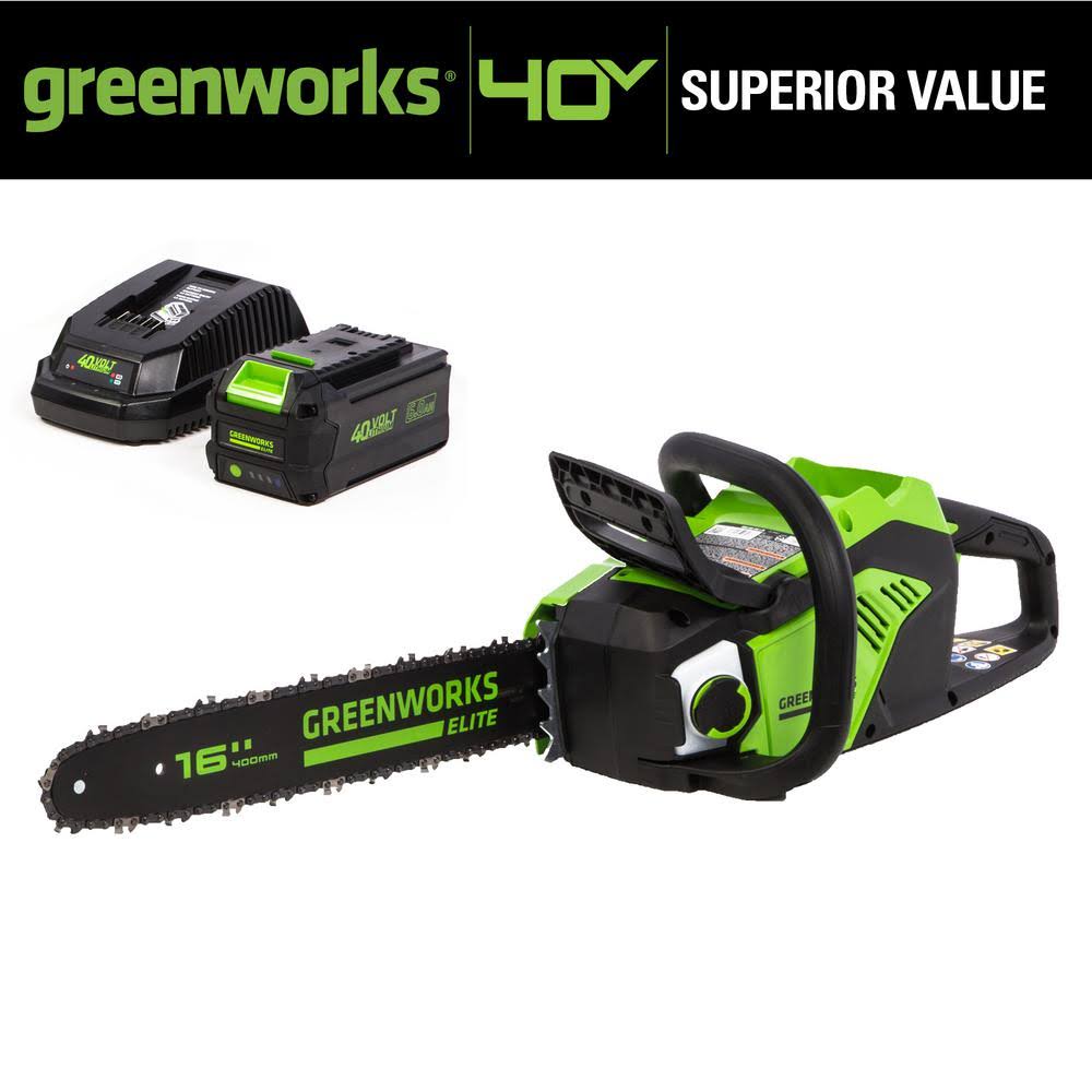 16 in. 40V Cordless Brushless Chainsaw with 6.0 Ah Battery and Charger R8229