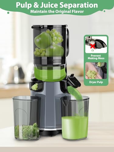 Black Masticating Juicer with 5.3" Wide Mouth 1.7L Capacity Q79908