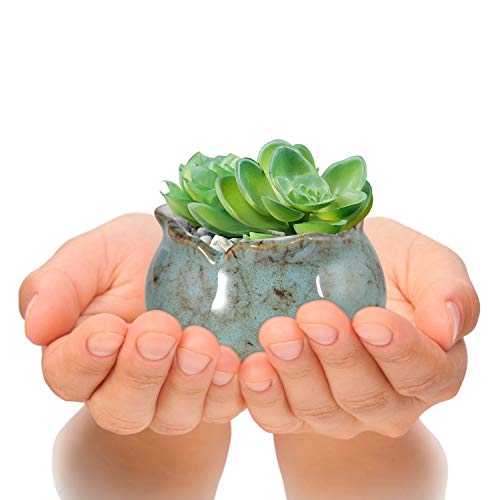 4 Inch Ceramic Plant Pots with Bamboo Tray, Pack of 6 S872