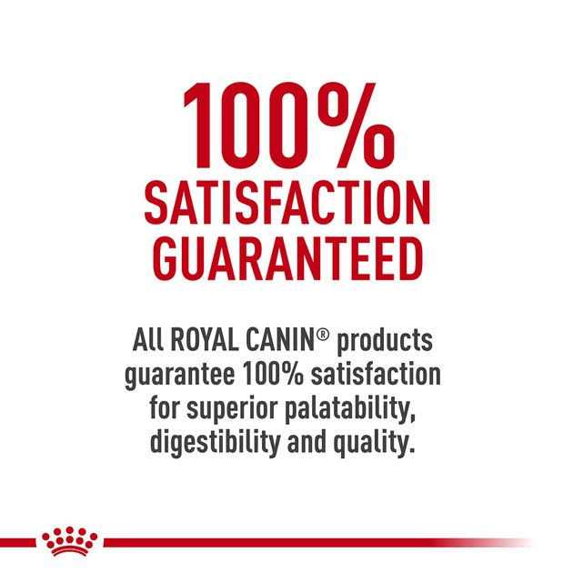 Hydrolyzed Protein Feline Treats R536