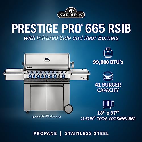 Stainless Steel Propane Gas Grill with Side and Rear Burners K69917