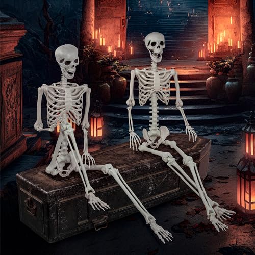 5.9ft Halloween Life Size Skeleton Plastic Human Bones with Movable Joints Q50339