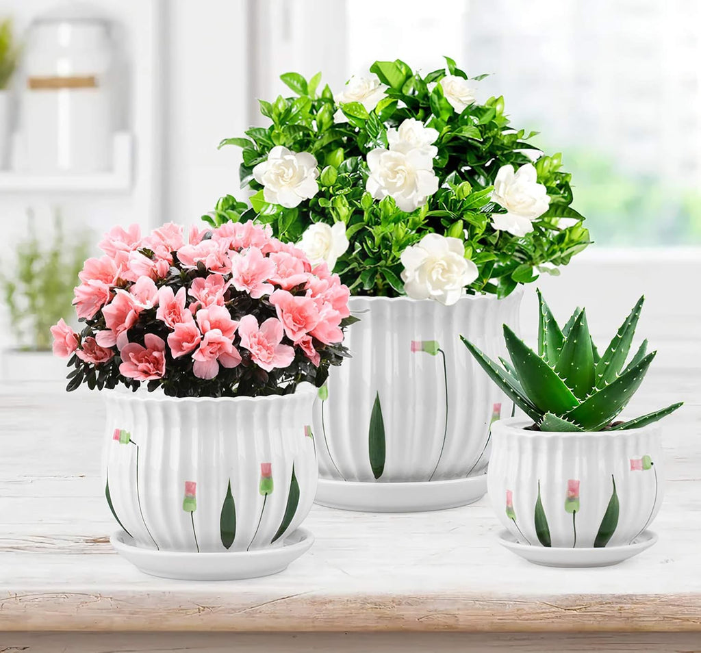 Set of 3 Ceramic Plant Pots with Drainage and Saucer H557449
