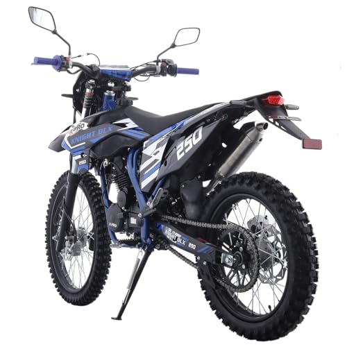 Blue 250 Dirt Bike 5-Speed Manual Transmission 21"/18" Wheels Electric/Kick Start L744059