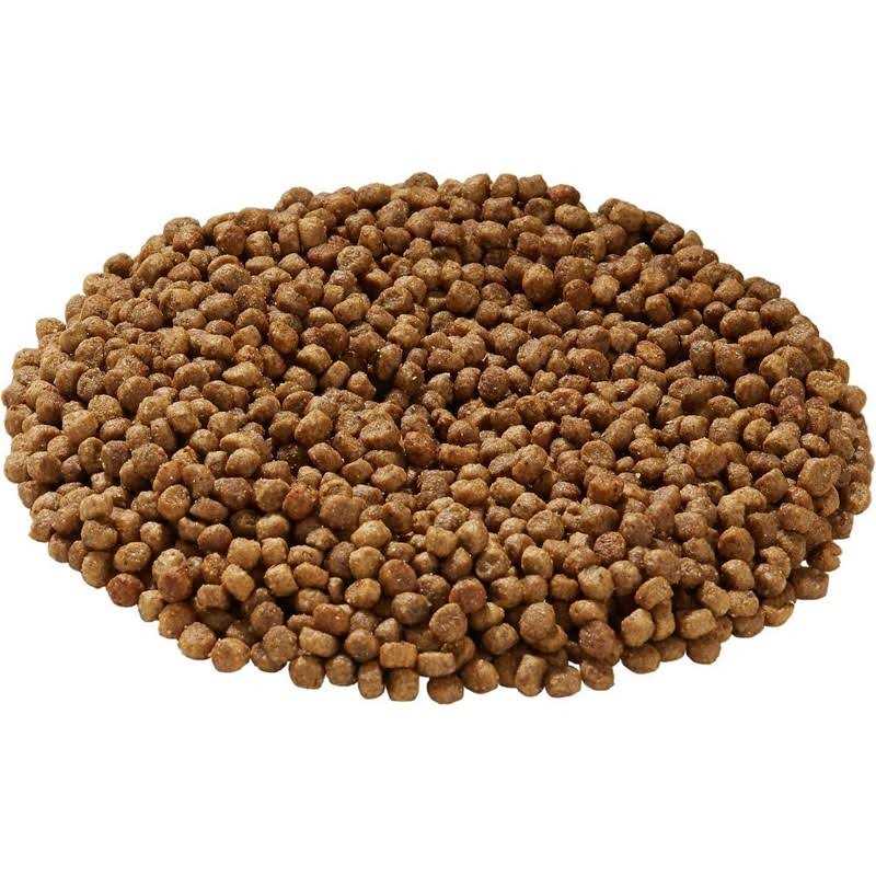 Little Bites Chicken & Brown Rice Dry Dog Food Z229