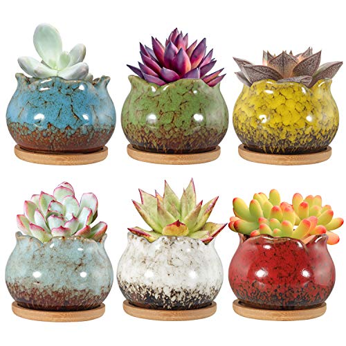 4 Inch Ceramic Plant Pots with Bamboo Tray, Pack of 6 S872