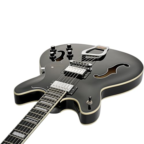 Wild Cherry Transparent Semi-Hollow Body Electric Guitar D7812