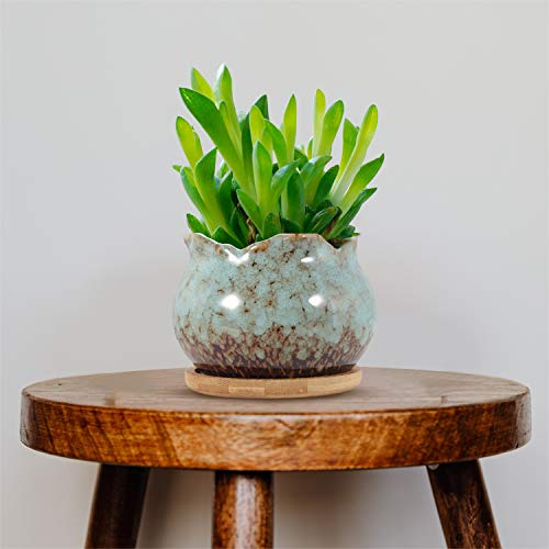 4 Inch Ceramic Plant Pots with Bamboo Tray, Pack of 6 S872