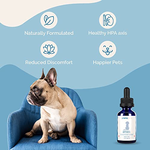 Herbal Formula for Dogs with Cushing’s F211931
