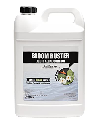 64oz Fast Acting Algaecide H7230
