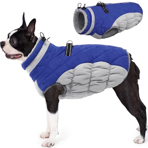 Red Dog Puffer Jacket with Harness M22065
