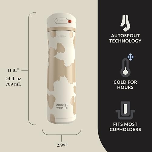 24oz Stainless Steel Water Bottle with Straw & Handle Dual Insulated (Pack of 2) Y310