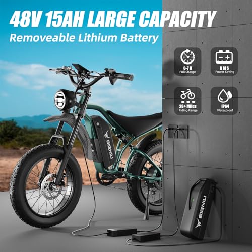 20" Fat Tire Electric Bike with Peak 1200W Motor, 48V 15A Battery, 7-Speed, Dual Disc Brakes K47003