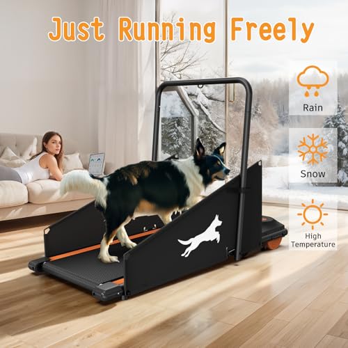 Dog Treadmill for Small & Medium Dogs up to 220lbs E831049