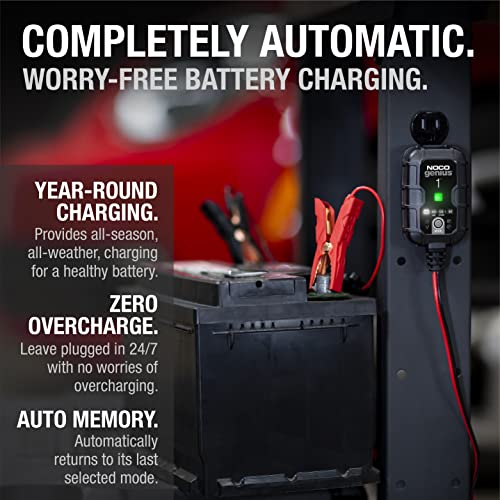 1A 6V/12V Smart Battery Charger D225
