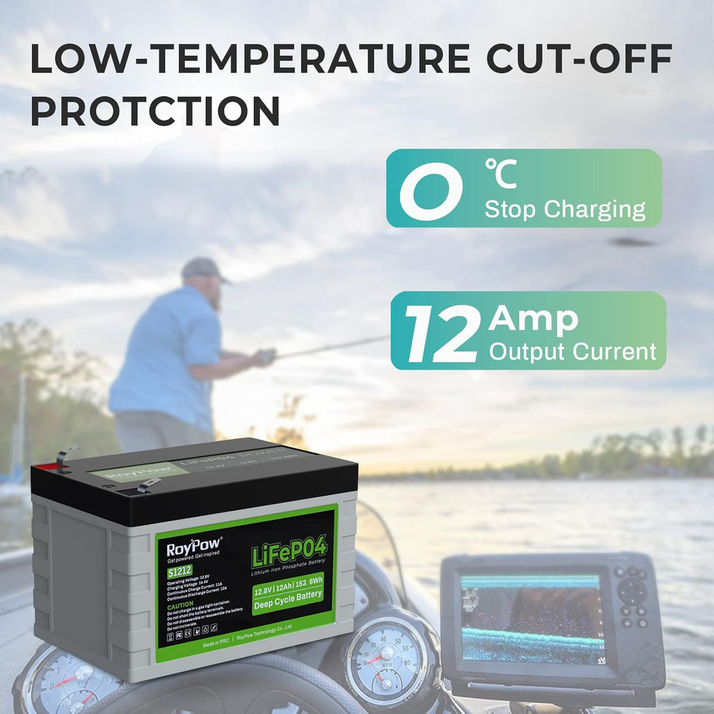 12V 12Ah Deep Cycle LiFePO4 Battery, Pack of 2 W17697
