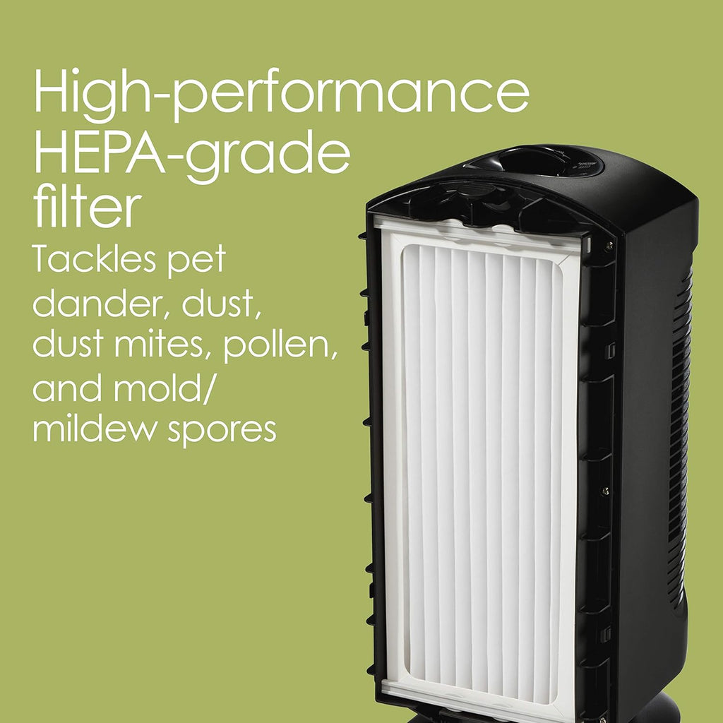 Black Air Purifier with HEPA Grade Filter, 3 Speeds, 160 sq ft C176080