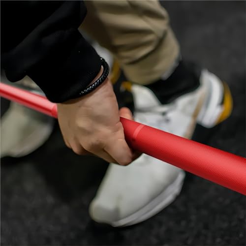 7ft Olympic Barbell 45lb H26576