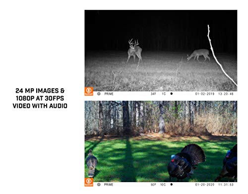 24MP 1080p HD Trail Camera Brown A760336