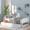 White Double Platform Bed with Two Drawers Q981916