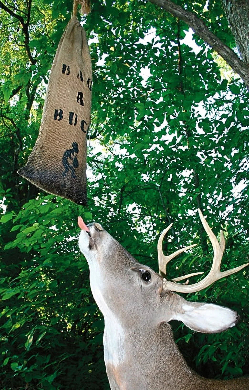 2 Pack 4-lb Deer Attractant K474029