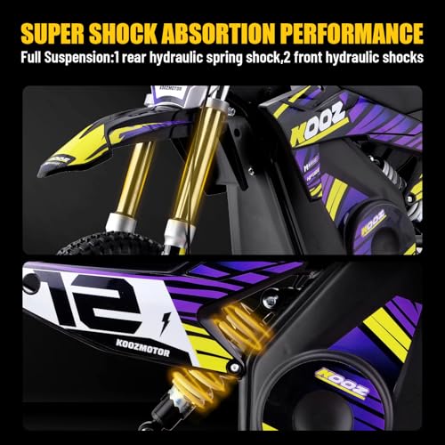 36V 1000W Electric Dirt Bike, 16" Tire, Purple L9373