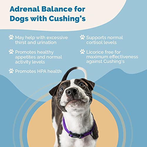 Herbal Formula for Dogs with Cushing’s F211931