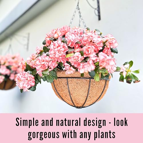 3 Pack 10 Inch Hanging Planter with Coco Liner Metal Wire Basket S510