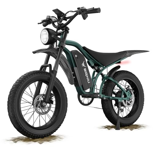 20" Fat Tire Electric Bike with Peak 1200W Motor, 48V 15A Battery, 7-Speed, Dual Disc Brakes K47003