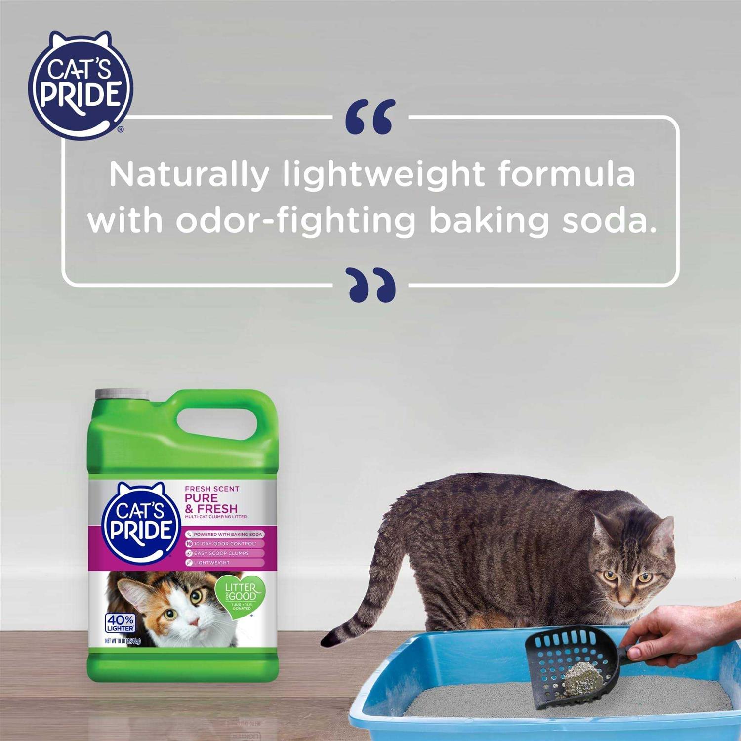 Multi-Cat Clumping Litter M923